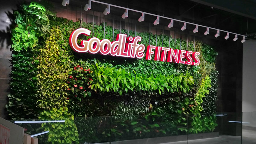 Goodlife fitness pink sign