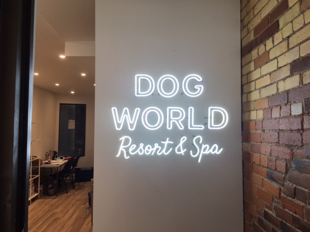 Dog world spa